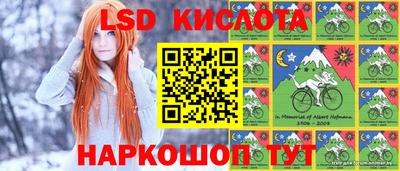 стафф Камышлов