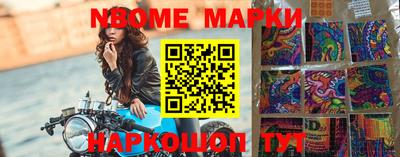 стафф Камышлов