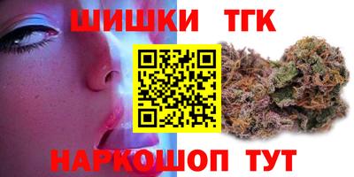 стафф Камышлов