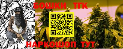 стафф Камышлов