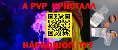 стафф Камышлов